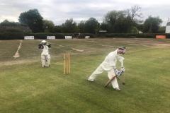 Hay! It’s not all bad news for cricket!