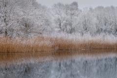 Reader's Photos: Saturday morning snow fall