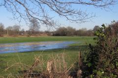 'Awful mess' if housing sites decided after public enquiry