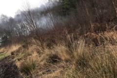 Firefighters called after youths start fire at Lindow Moss