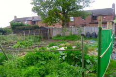 Lincoln Road allotments under new management