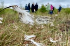 Lindow Moss celebrates World Bog Day