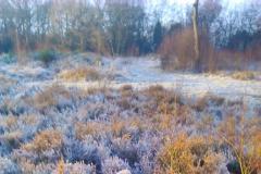 Reader's Photo: A frosty morning at the Moss