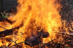 Fire services urges residents to scrap garden fires during coronavirus lockdown