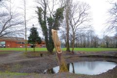 Volunteers restore town centre pond