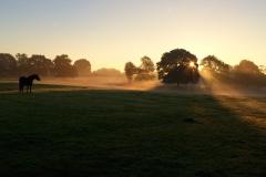 Reader's Photo: Morning school run through Mobberley