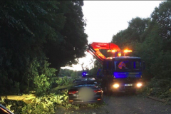 Car hit by tree whilst travelling on A538