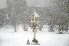 Reader's Photo: Whiteout on Gravel Lane