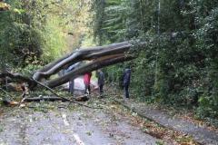 Reader's Letter: Storm hits Wilmslow