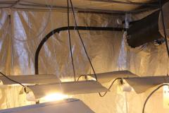 Police crackdown on cannabis cultivation