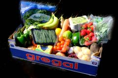 'Veg on the Edge' delivery service launches
