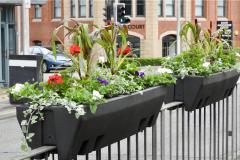 Wilmslow prepares to bloom for RHS judges