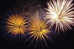 Organised local displays for bonfire night