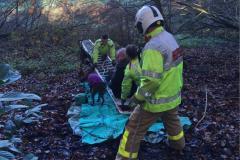 Dog walker rescued after getting stuck knee-deep in mud