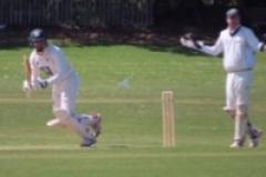 Cricket: Bumper weekend for Squirrels