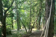 Alderley Edge School for Girls launches 'Forest School' - connecting students with nature