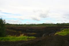 A new vision for Lindow Moss