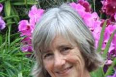 Stories of trauma which led to discovery of Christian faith