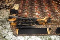 Electric blanket causes fire at Wilmslow flat