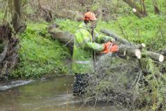 Volunteers work to repair river banks