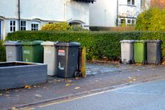 Black bins can be used for green waste for next two collections