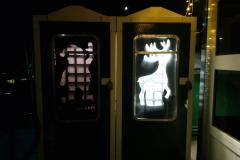 Schoolchildren light up Handforth station for the festive season