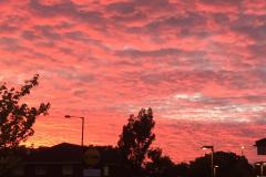 Reader's Photo: Shepherd's delight!