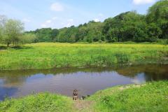 Reader's Photo: Messing about in the river