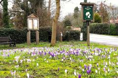 Styal and Chorley launch In Bloom bid