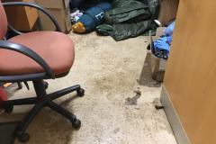 Cadets' building and equipment damaged by sewage flood