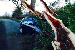 Hurricane winds cause mayhem
