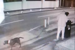 Police looking for man in connection with Wilmslow bin arsons