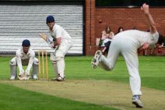 Cricket: Squirrels fall short in 7 wicket Loss