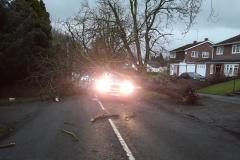 Driver escapes with minor injuries after tree crushes his van