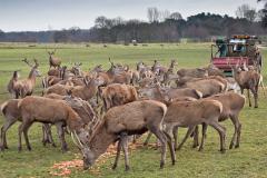 Tatton Park launch extensive learning programme