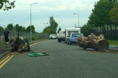 Another illegal encampment on Earl Road