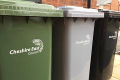 Council pushes ahead with plans to reduce black bin collections despite residents' opposition