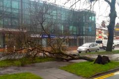 Severe gales and winds forecast for this evening