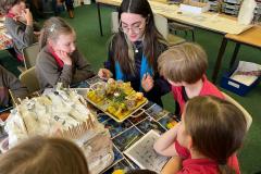 AESG pupils inspire local primary school children to love languages