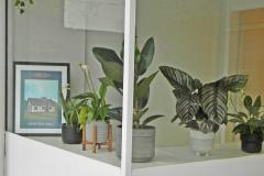 Still chance to enter Art Trail competition