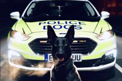 Police dog tracks down drink-driver