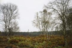 Movie highlights threat to Lindow Moss