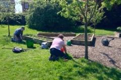 Community garden continues to grow