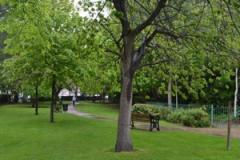Community invited to join in Christmas Carols