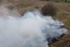 Grass fire on Knowle Park