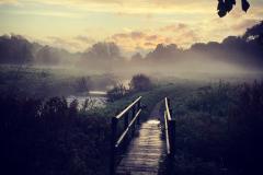 Reader's Photo: The Bollin Way at Wilmslow park