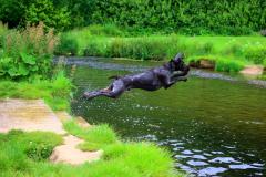 Moderate walks trace the route of the River Bollin