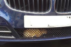 Rabbit survives 36 hours in car grille and 14 mile journey