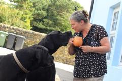 A House sitter’s journey