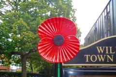 Giant poppies to remember the fallen